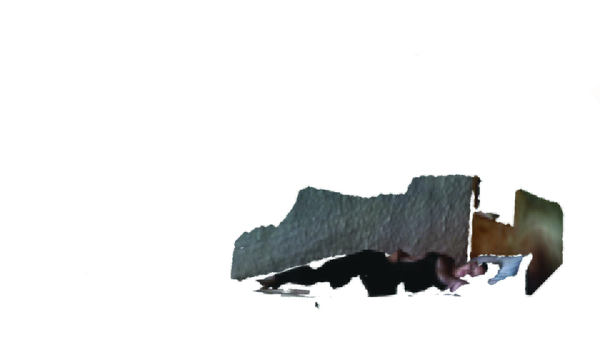 une silhouette à priori humaine semble dormir dans l'angle en bas à droite de l'écran. L'image est abimée, il s'agit en réalité d'un scann 3D de Clélia en pleine sièste. Le reste de l'image est blanc à part l'image d'une souris d'orinateur qui traine par là.